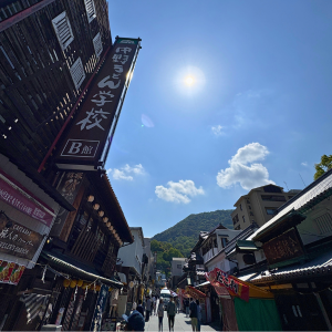 敷島館周辺を散策しながら見たサギの巣と川沿いの自然風景