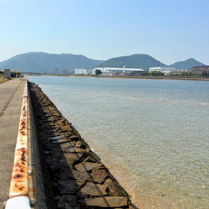 綾川河口で潮干狩りを試みるも不発だった風景