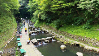 【大阪】千早川マス釣り場|夏の涼スポットで渓流風|その場で食べられる釣り堀レポ