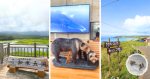 day4 ウトロ→霧多布 知床五湖＆野生動物