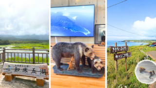 北海道車中泊旅day4｜ウトロ→霧多布！知床五湖・クマ親子・野生ラッコ＆絶景キャンプ場レポ