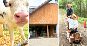 day6 阿寒湖→三国峠 絶景＆牧場旅