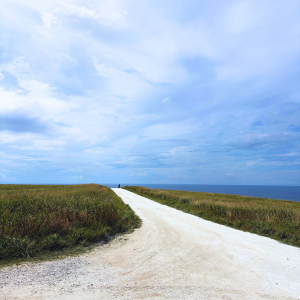 宗谷丘陵の白い道