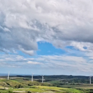 白い道に向かう牧草地と風車の景色