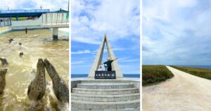 day2 北竜ひまわり→宗谷岬・白い道