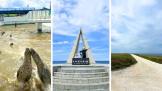 北海道一周day2｜北竜ひまわり→宗谷岬・白い道！道北絶景＆海鮮グルメ車中泊レポ